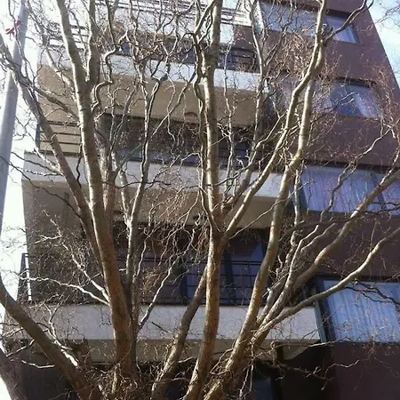 Beautiful 2 Apt. Eforie Golful Pescarilor Apartament